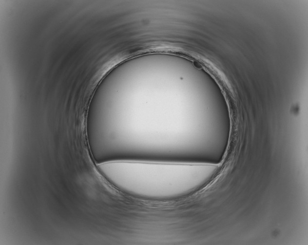 X0000099411281200805090718