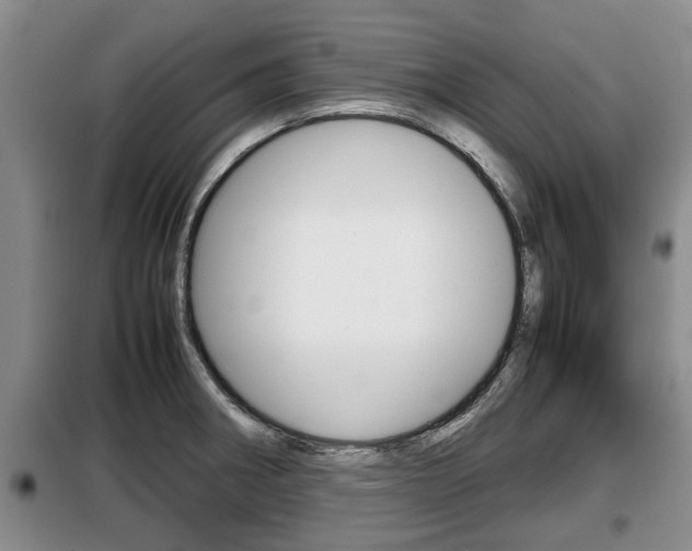 X0000099411282200805090718