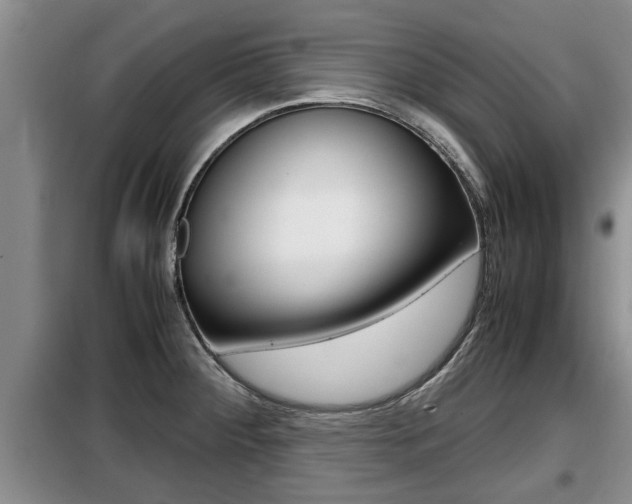 X0000099411284200805090718