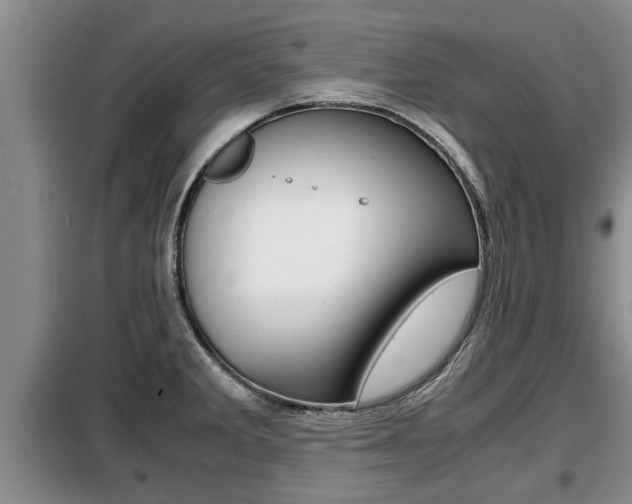 X0000099411285200805090718