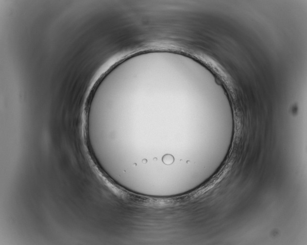X0000099411286200805090718