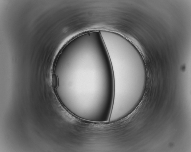 X0000099411288200805090718