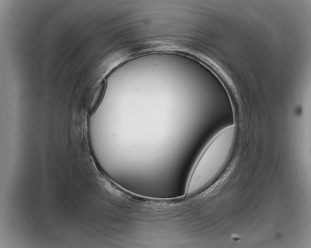 X0000099411289200805090718