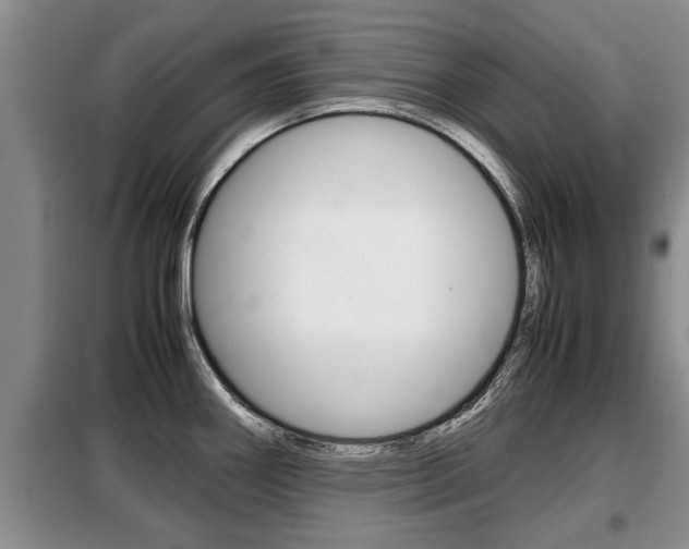 X0000099411290200805090718