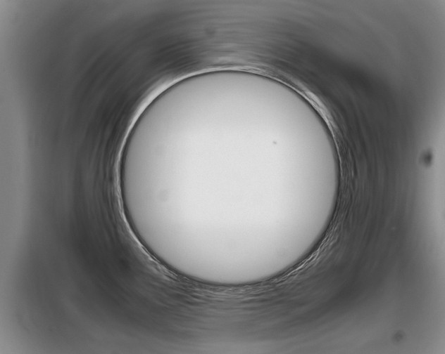 X0000099411291200805090718
