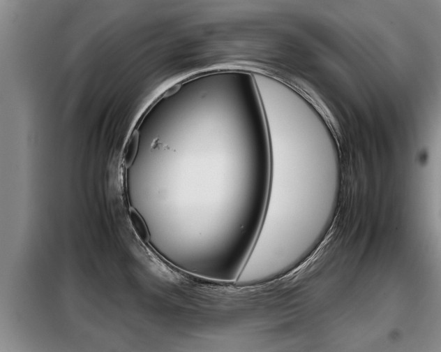 X0000099411292200805090718