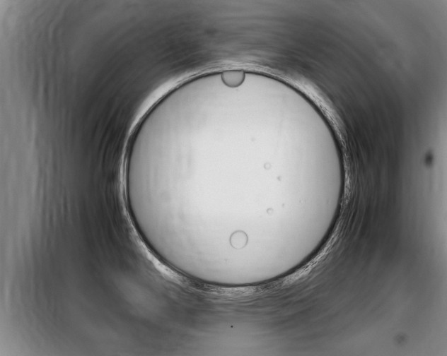X0000099411294200805090718