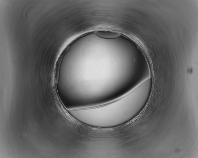 X0000099411296200805090718