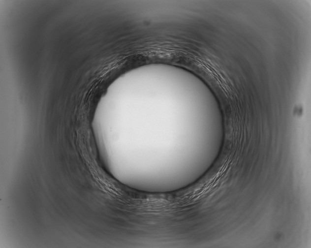 X0000099411297200805090718