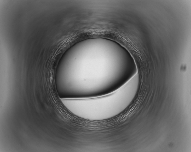 X0000099411300200805090718