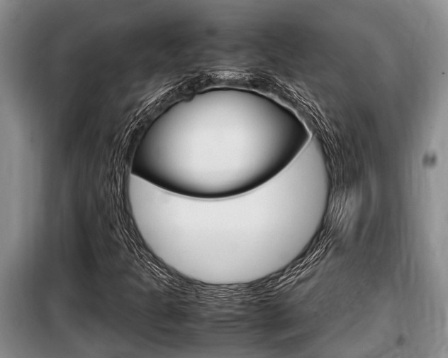 X0000099411301200805090718