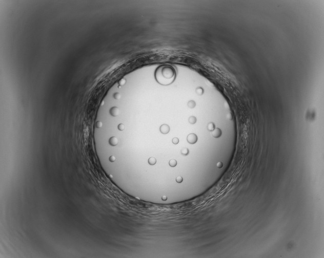 X0000099411302200805090718
