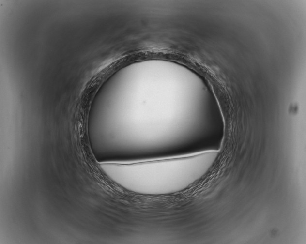 X0000099411303200805090718