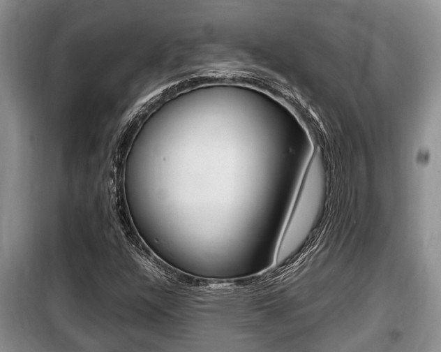 X0000099411304200805090718