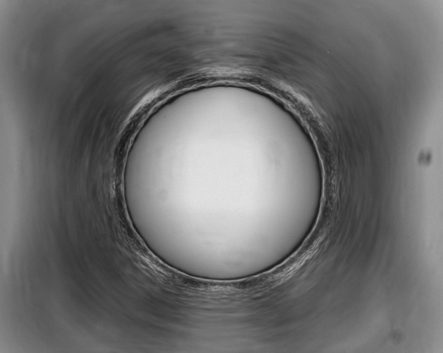 X0000099411306200805090718