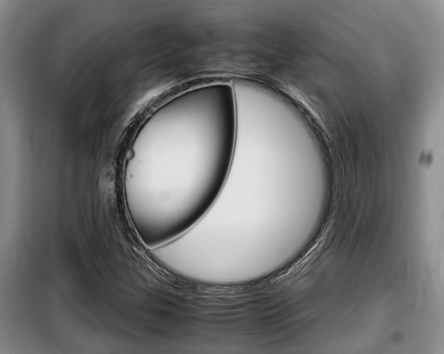 X0000099411307200805090718
