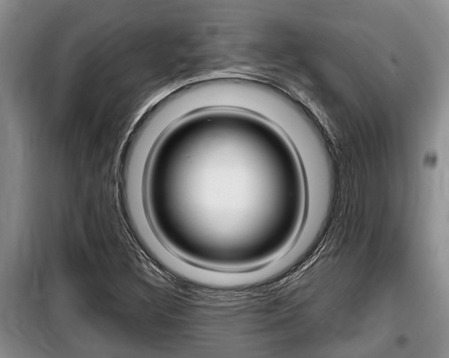 X0000099411308200805090718