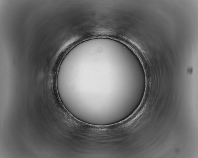 X0000099411309200805090718