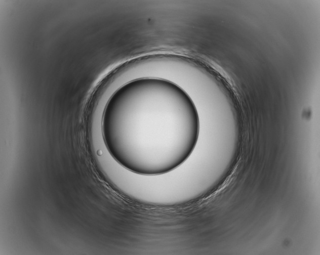 X0000099411310200805090718