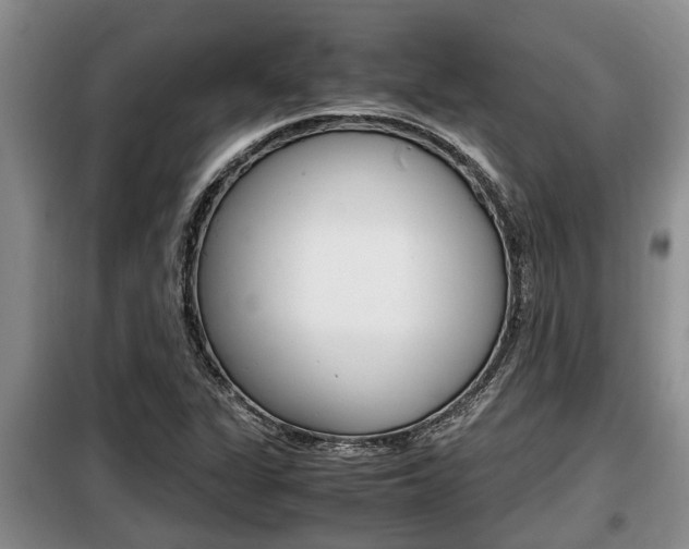 X0000099411311200805090718