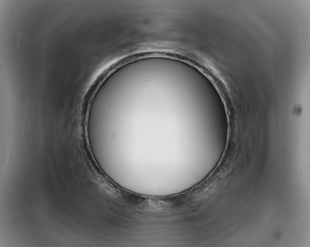 X0000099411312200805090718