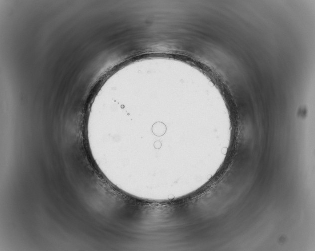 X0000099411314200805090718