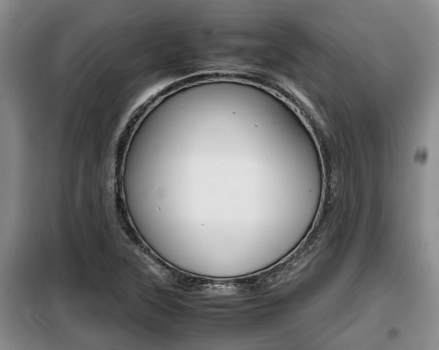 X0000099411315200805090718