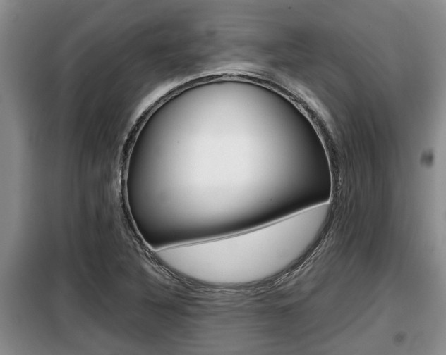 X0000099411316200805090718