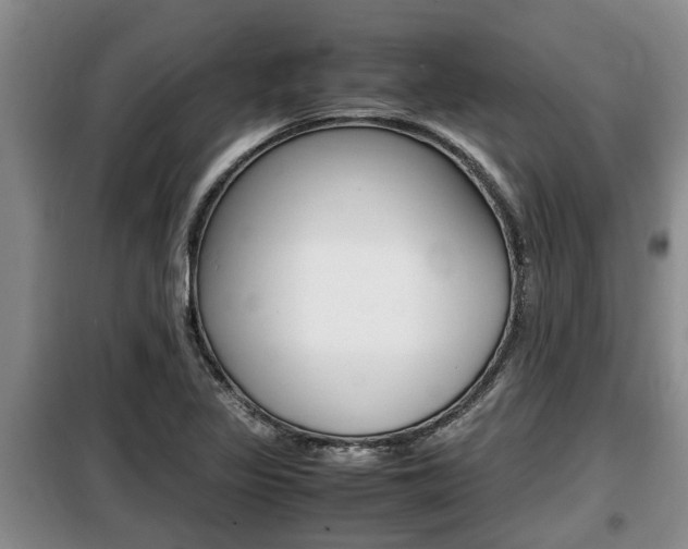 X0000099411317200805090718