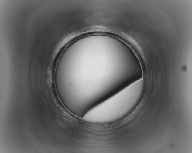 X0000099411318200805090718
