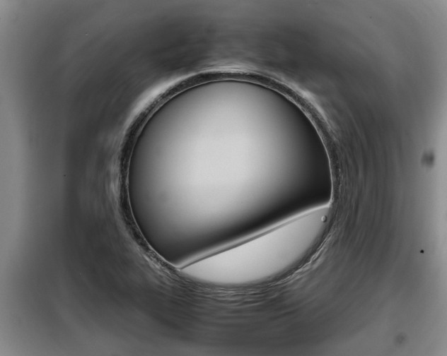 X0000099411319200805090718