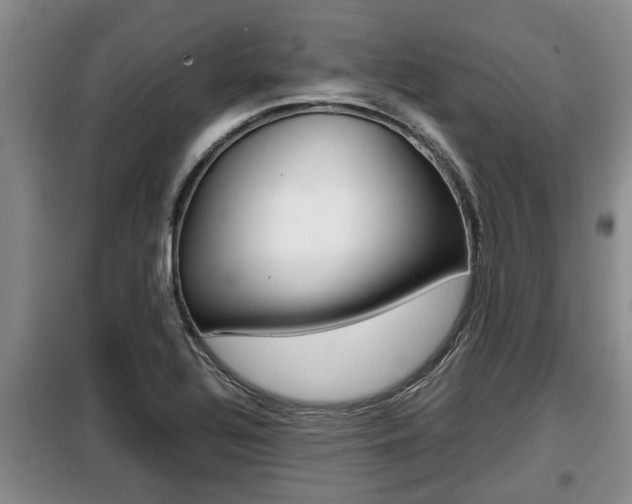 X0000099411320200805090718
