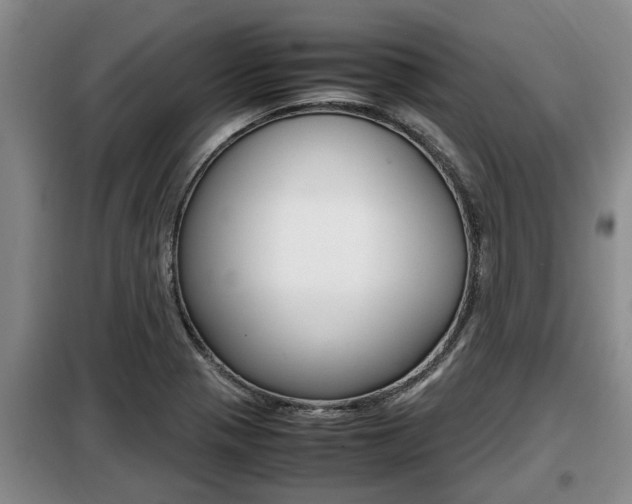 X0000099411321200805090718