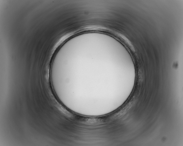 X0000099411322200805090718
