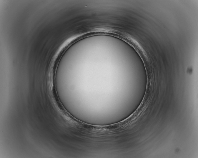X0000099411323200805090718