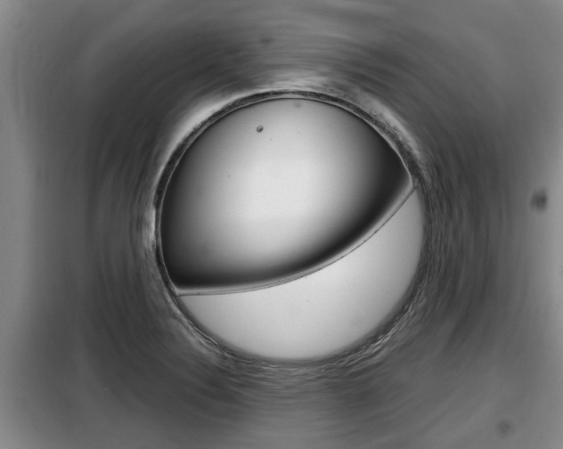 X0000099411324200805090718