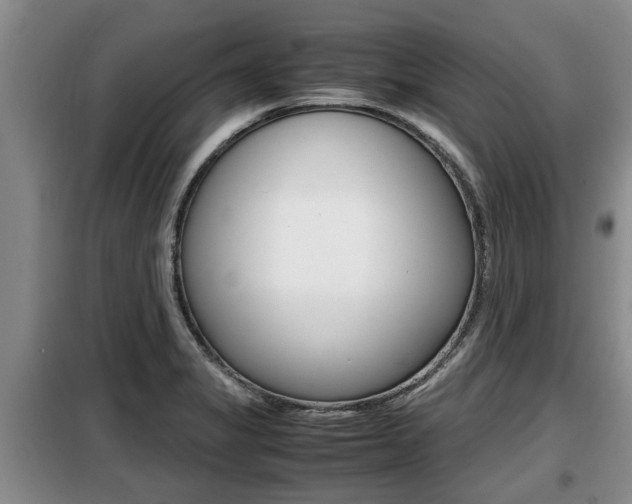 X0000099411325200805090718