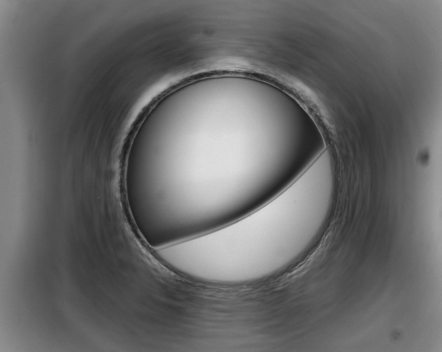 X0000099411326200805090718