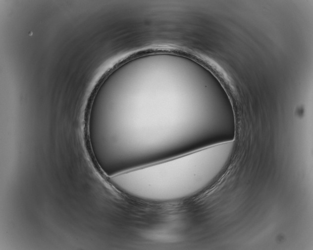 X0000099411327200805090718