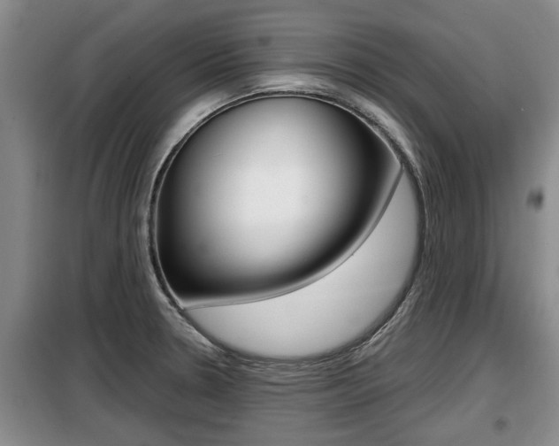 X0000099411330200805090718