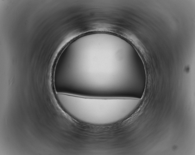 X0000099411331200805090718