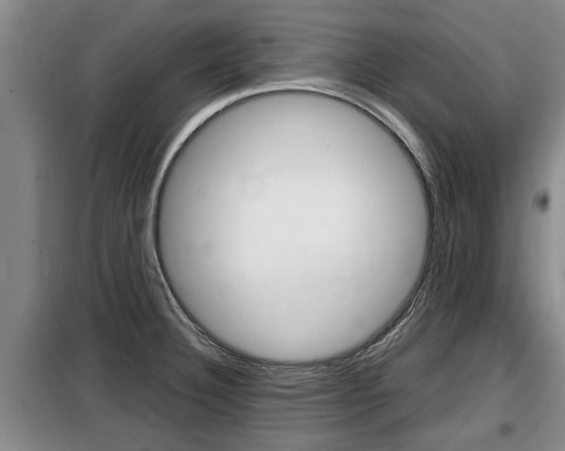 X0000099411332200805090718