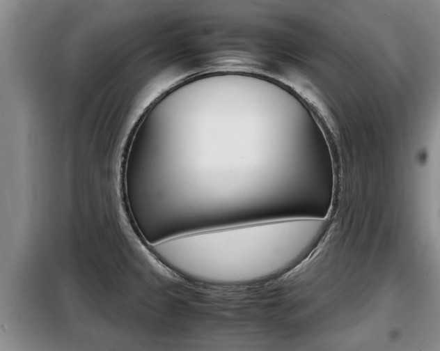 X0000099411333200805090718