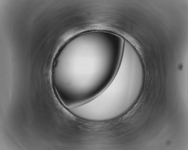 X0000099411334200805090718