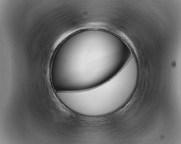X0000099411336200805090718