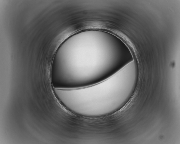 X0000099411337200805090718