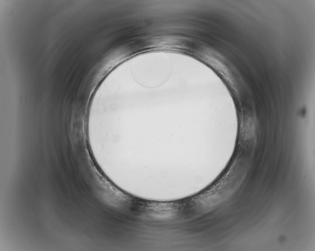 X0000099411338200805090718