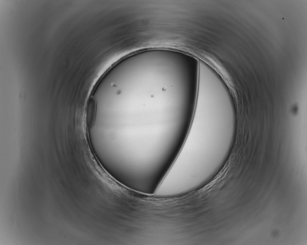 X0000099411340200805090718