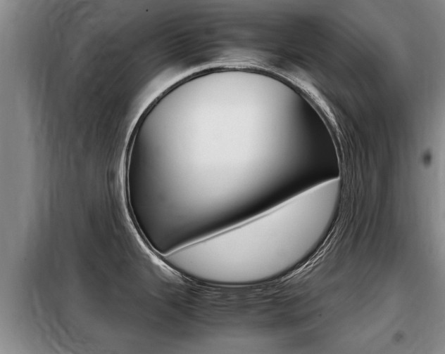 X0000099411343200805090718