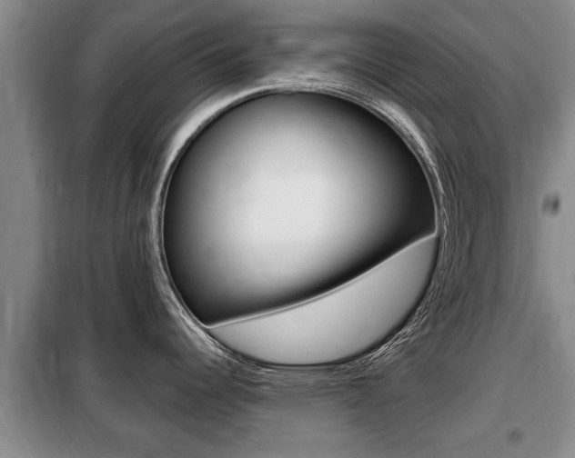 X0000099411344200805090718